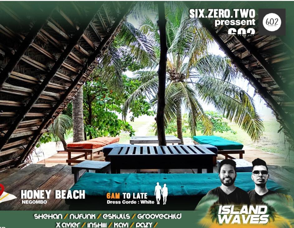 Honey Beach Hostel เนกอมโบ ภายนอก รูปภาพ